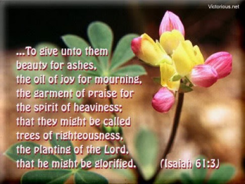 Image result for Isaiah 61:3