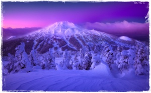 purple-mountain-majesty